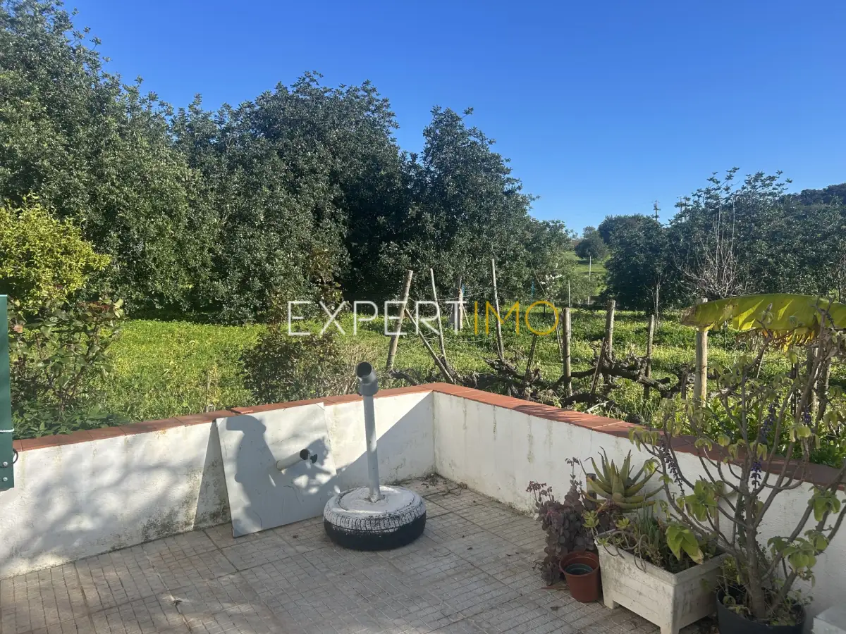 Pátio - Quinta com Casa Térrea T3, T1 e Terreno em Santa Catarina, Tavira (14)