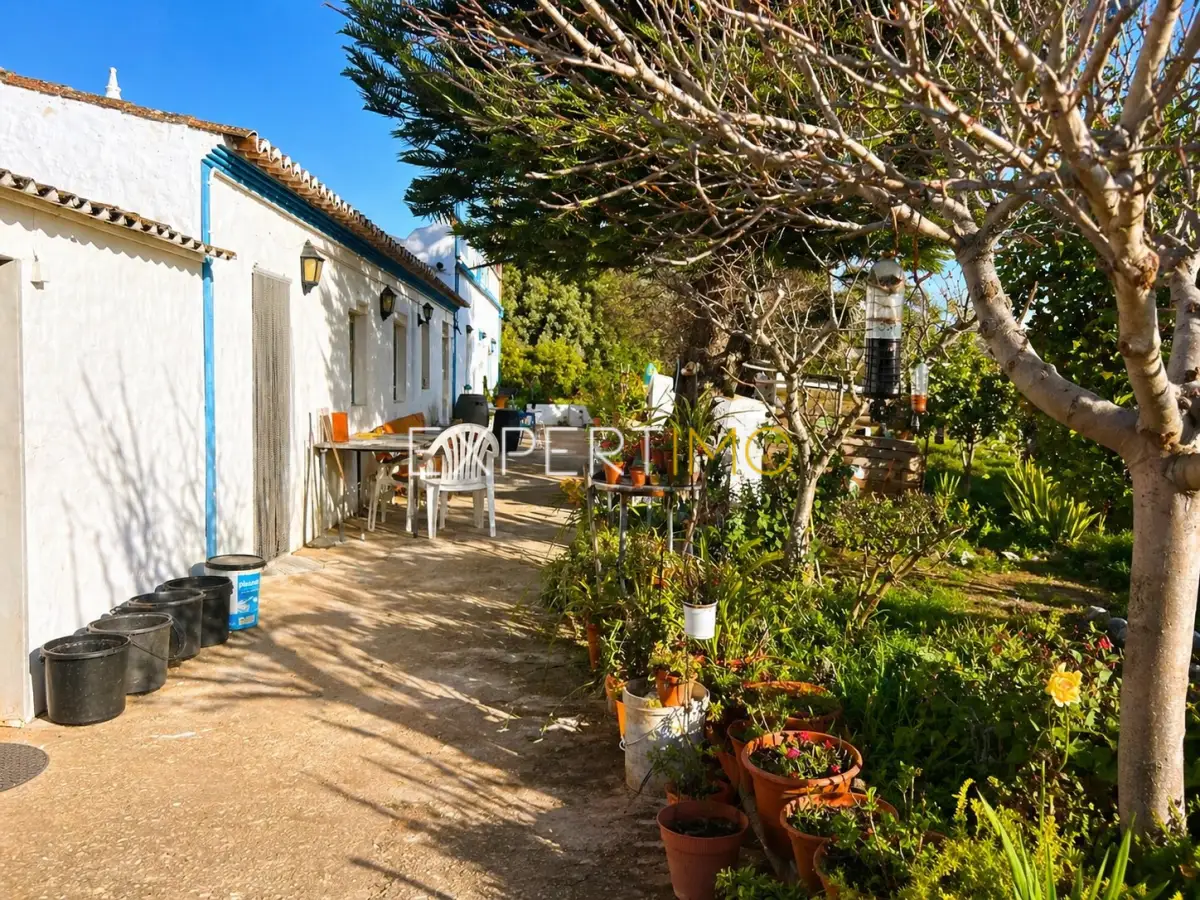 Pátio - Quinta com Casa Térrea T3, T1 e Terreno em Santa Catarina, Tavira (30)