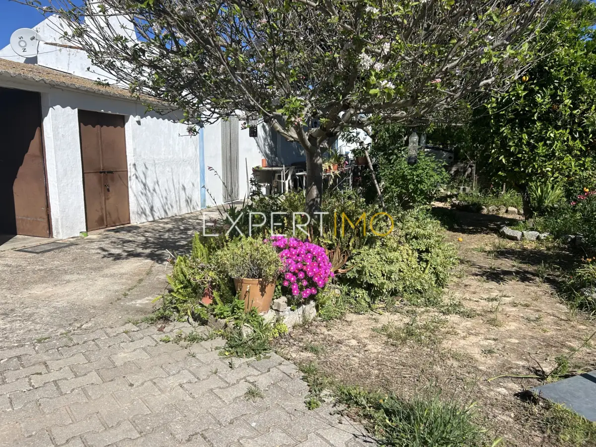 Jardim - Quinta com Casa Térrea T3, T1 e Terreno em Santa Catarina, Tavira (36)