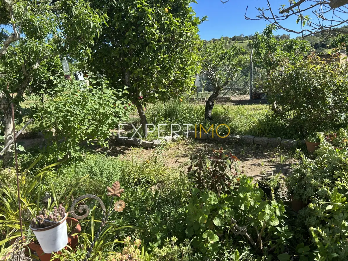 Jardim - Quinta com Casa Térrea T3, T1 e Terreno em Santa Catarina, Tavira (37)