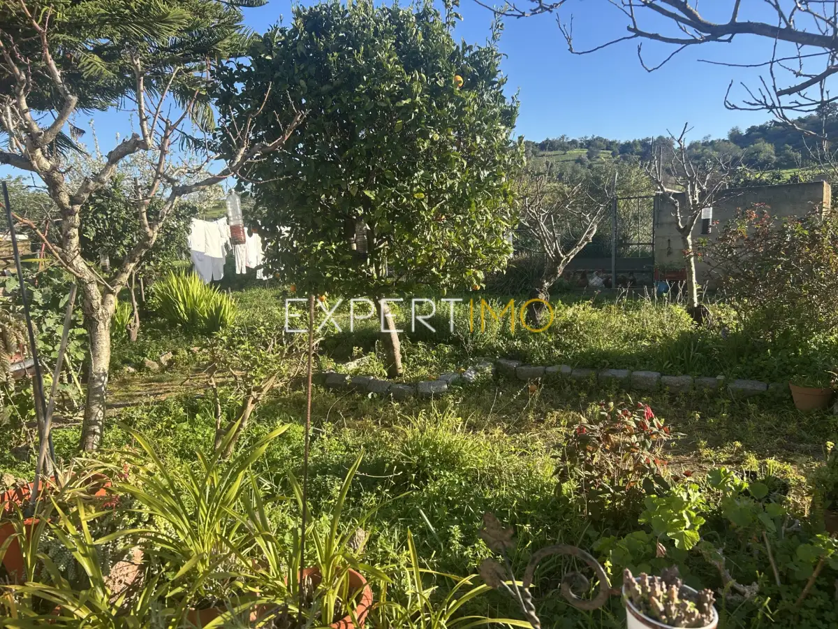Jardim - Quinta com Casa Térrea T3, T1 e Terreno em Santa Catarina, Tavira (38)