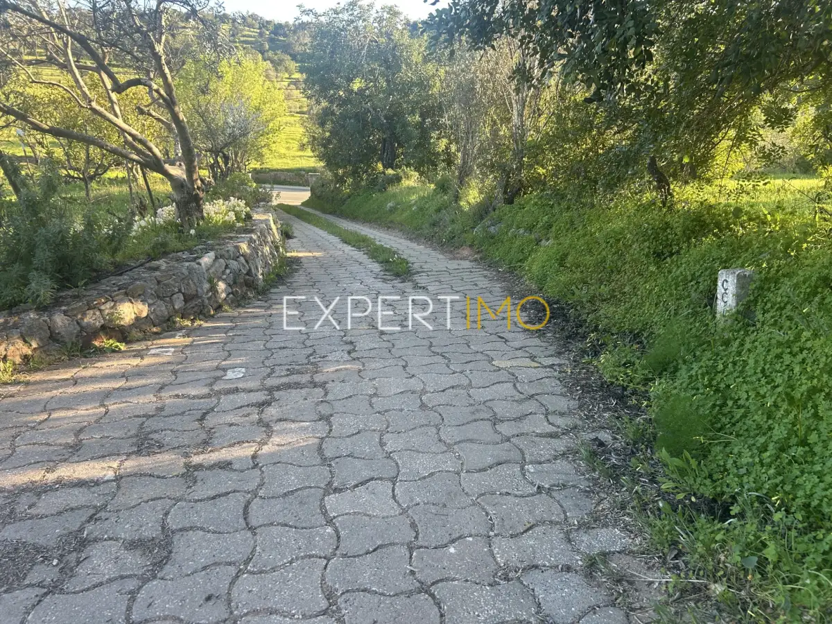 Zonas comuns - Quinta com Casa Térrea T3, T1 e Terreno em Santa Catarina, Tavira (39)